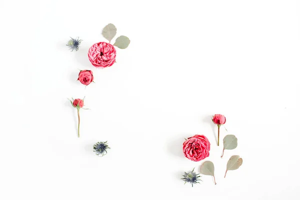 Cadre en boutons de fleurs de rose rouge, branches d'eucalyptus — Photo