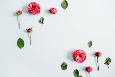 çiçek sınır çerçeve