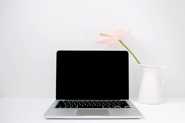 Laptop ve soluk pembe antoryum çiçek — Stok fotoğraf