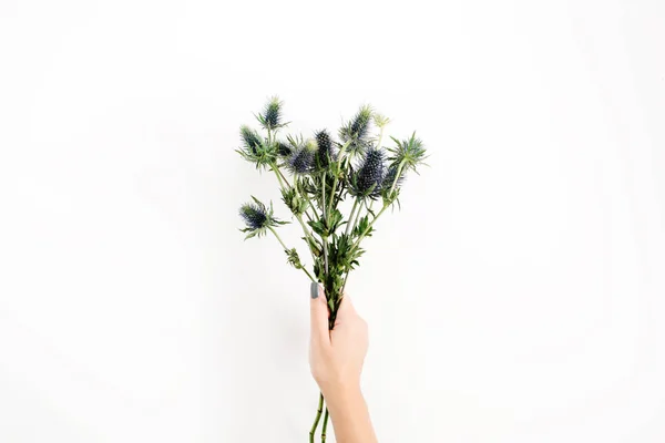 Eringium bloemen boeket in meisjes hand — Stockfoto