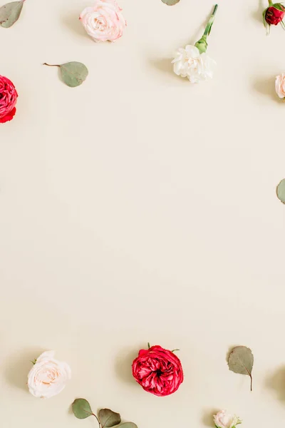 A bézs és a vörös rózsa virágok keret — Stock Fotó