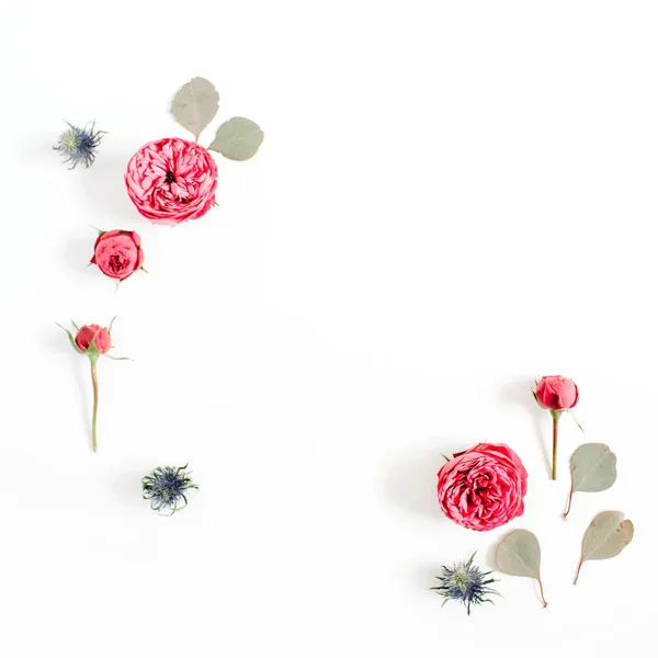 Red rose flower buds frame — Stock Photo, Image