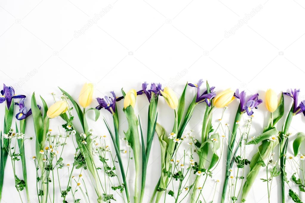 tulips, chamomiles, iris flowers