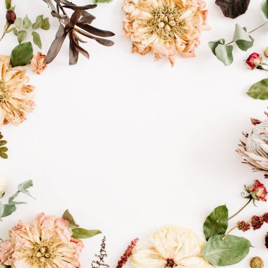 kurutulmuş çiçekler arka plan