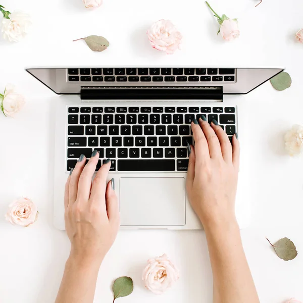 Ragazza che lavora su laptop — Foto Stock