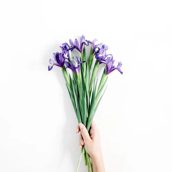 Красиві фіолетові квіти ірису — стокове фото