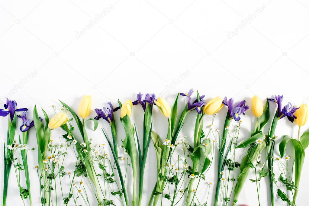 tulips, chamomiles, iris flowers