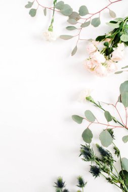 Güzel okaliptüs dalları desen