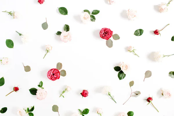 Botões de flor rosa vermelho e bege — Fotografia de Stock
