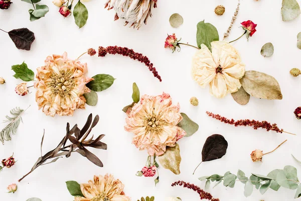 말린된 꽃 배경 — 스톡 사진
