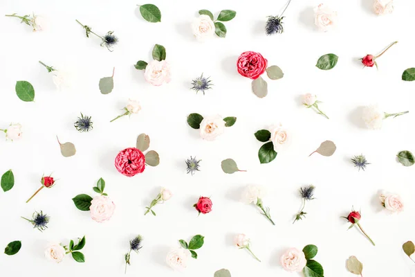 만든 빨간색과 베이지색 장미 꽃 패턴 — 스톡 사진