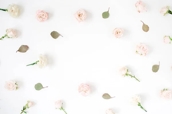 Beige rosor, eukalyptus blad på vit bakgrund — Stockfoto