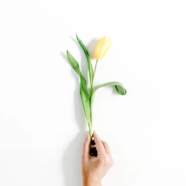 Main femelle tenant une tulipe jaune — Photo