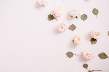 Çiçek bej gül, okaliptüs yaprakları yapılmış doku desen