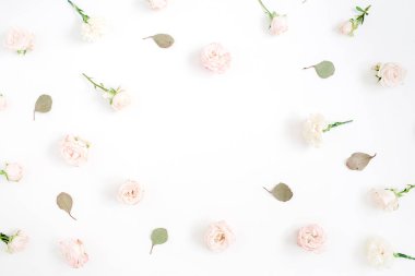 bej renkli gül, okaliptüs beyaz zemin üzerine bırakır.