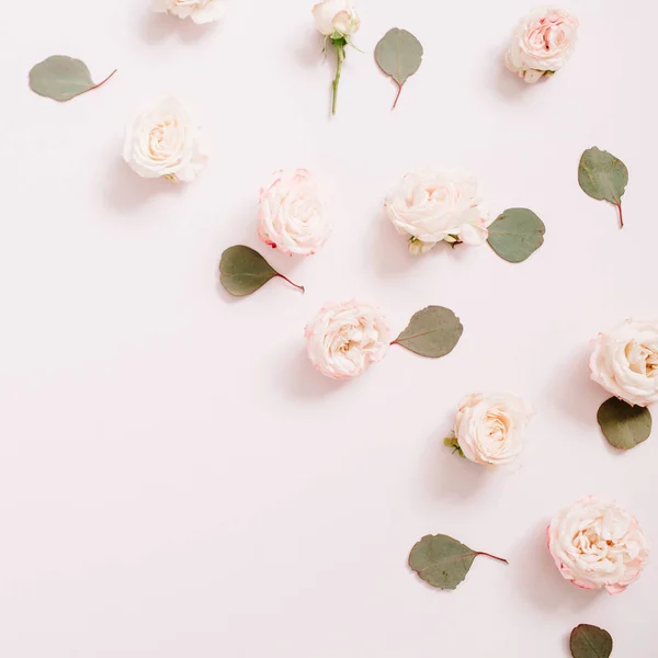 Çiçek bej gül, okaliptüs yaprakları yapılmış doku desen — Stok fotoğraf