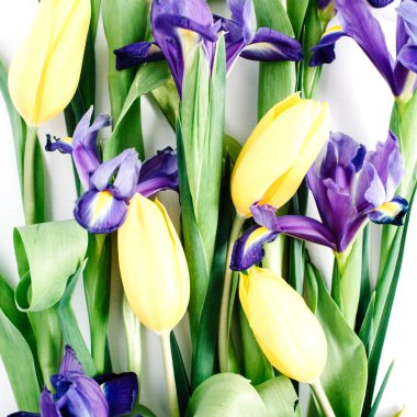 Yellow tulips and iris flowers