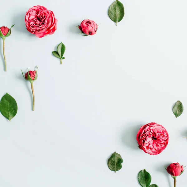 Röd ros blomknoppar ram — Stockfoto