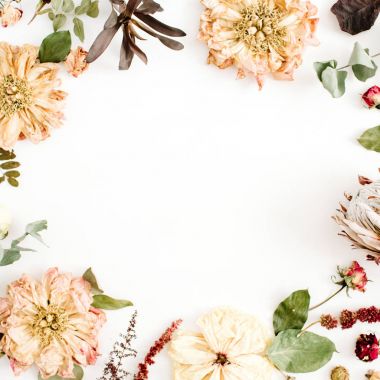 kurutulmuş çiçekler arka plan