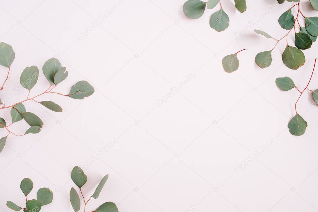 Beautiful eucalyptus branches pattern