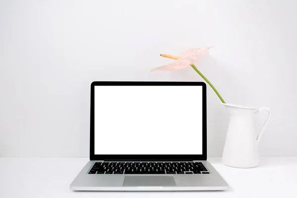 Laptop und blassrosa Anthurium-Blume — Stockfoto