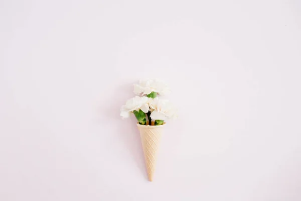 Waffelkegel mit Blumen — Stockfoto
