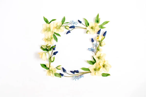 Frame krans gemaakt van Helleborus bloemen — Stockfoto
