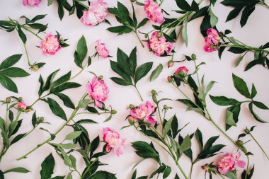 Çiçek desenli pembe peonies, yeşil yapılmış bırakır