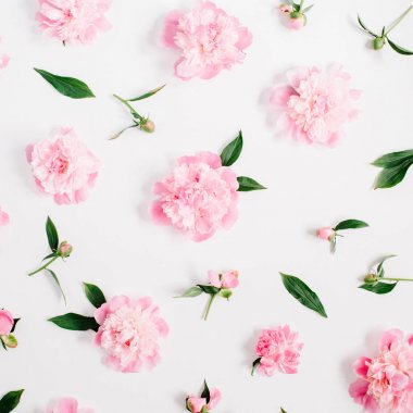 Çiçek desenli pembe Şakayık çiçekleri