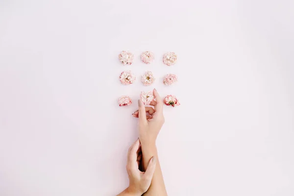 Mano de niña sosteniendo rosa brotes de rosa seca — Foto de Stock