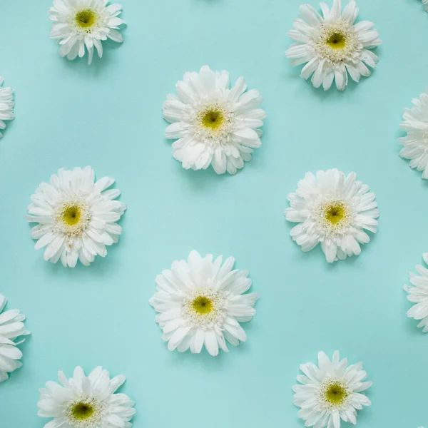 Pattern of white chamomile daisy flowers