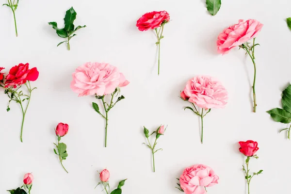 Patrón floral de rosas rosadas y rojas — Foto de Stock