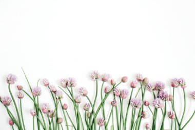 Çiçek desenli kır çiçekleri ile yeşil yaprakları