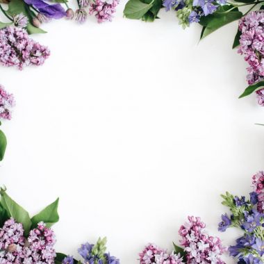 Çerçeve Lila çiçek, dalları, yaprakları ve yaprakları
