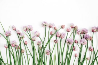 Çiçek desenli kır çiçeği ile yeşil yaprakları