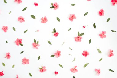 Çiçek desenli pembe ortanca çiçek yaptı