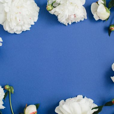 Peony çiçek çelenk çerçeve