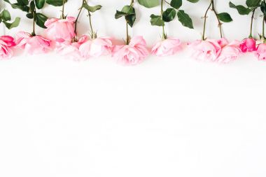 Beyaz arkaplanda pembe güller