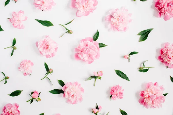 Patrón floral de flores de peonía rosa — Foto de Stock