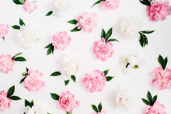 Çiçek desenli pembe Şakayık çiçekleri