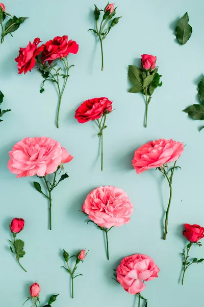 Çiçek desenli pembe ve kırmızı gül yaptı — Stok fotoğraf