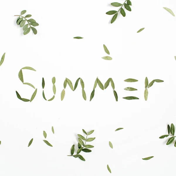 Word "Summer" made of green leaves — Stock Photo, Image