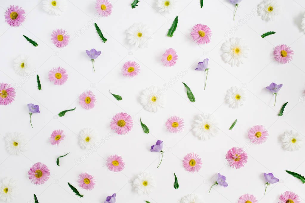 Floral pattern made of white and pink chamomile daisy flowers