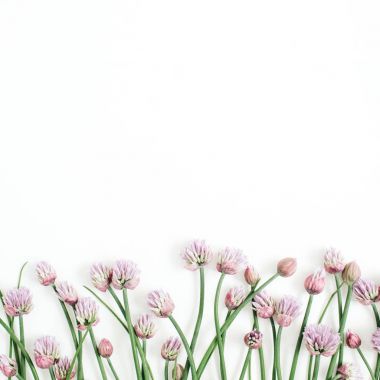 Çiçek desenli kır çiçekleri ile yeşil yapraklar, dallar