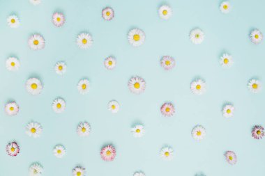 Beyaz ve pembe papatya papatya çiçek çiçek desenli