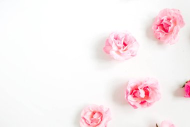 Pembe Gül tomurcukları desen