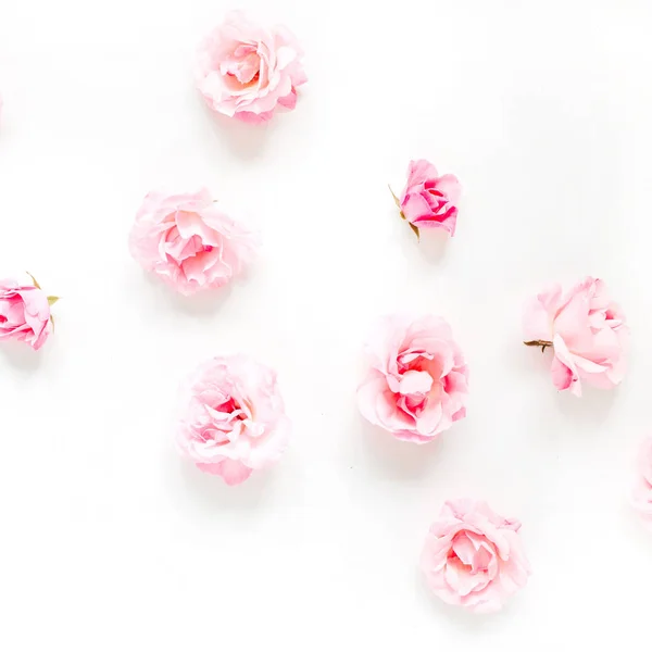 Roze roos toppen patroon — Stockfoto