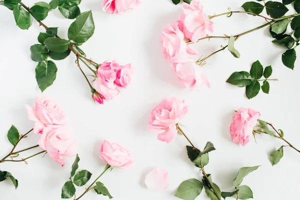 Floral pattern made of pink roses — Stock Photo, Image