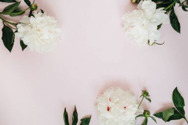 Çerçeve beyaz Şakayık çiçekleri