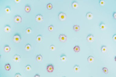 Beyaz ve pembe papatya papatya çiçek çiçek desenli